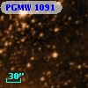 PGMW 1091