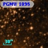 PGMW 1098