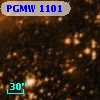 PGMW 1101