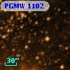 PGMW 1102