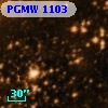 PGMW 1103