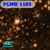 PGMW 1109