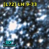 2MASS J04562954-6628208