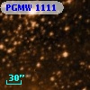 PGMW 1111