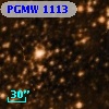 PGMW 1113