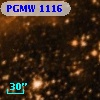 PGMW 1116