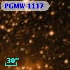 PGMW 1117