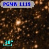 PGMW 1118