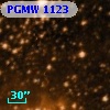PGMW 1123