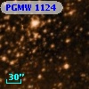 PGMW 1124