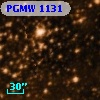 PGMW 1131