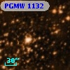 PGMW 1132