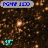 PGMW 1133