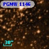 PGMW 1146