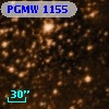 PGMW 1155