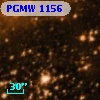 PGMW 1156