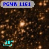 PGMW 1161