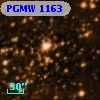PGMW 1163