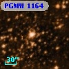 PGMW 1164