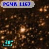 PGMW 1167