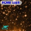 PGMW 1169