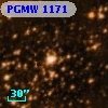 PGMW 1171