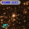 PGMW 1172