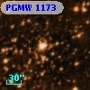 PGMW 1173