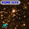 PGMW 1174