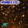 PGMW 1175