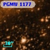 PGMW 1177