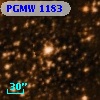 PGMW 1183