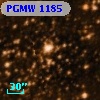 PGMW 1185
