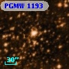 PGMW 1193