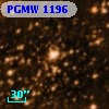 PGMW 1196