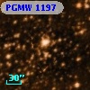 PGMW 1197