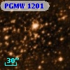 PGMW 1201