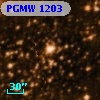 PGMW 1203