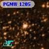 PGMW 1205