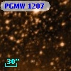 PGMW 1207