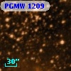 PGMW 1209