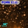 PGMW 1215