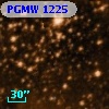PGMW 1225