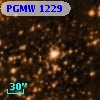 PGMW 1229