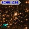 PGMW 1230