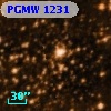 PGMW 1231