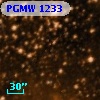 PGMW 1233