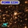 PGMW 1234