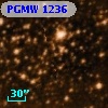 PGMW 1236