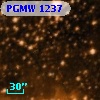PGMW 1237